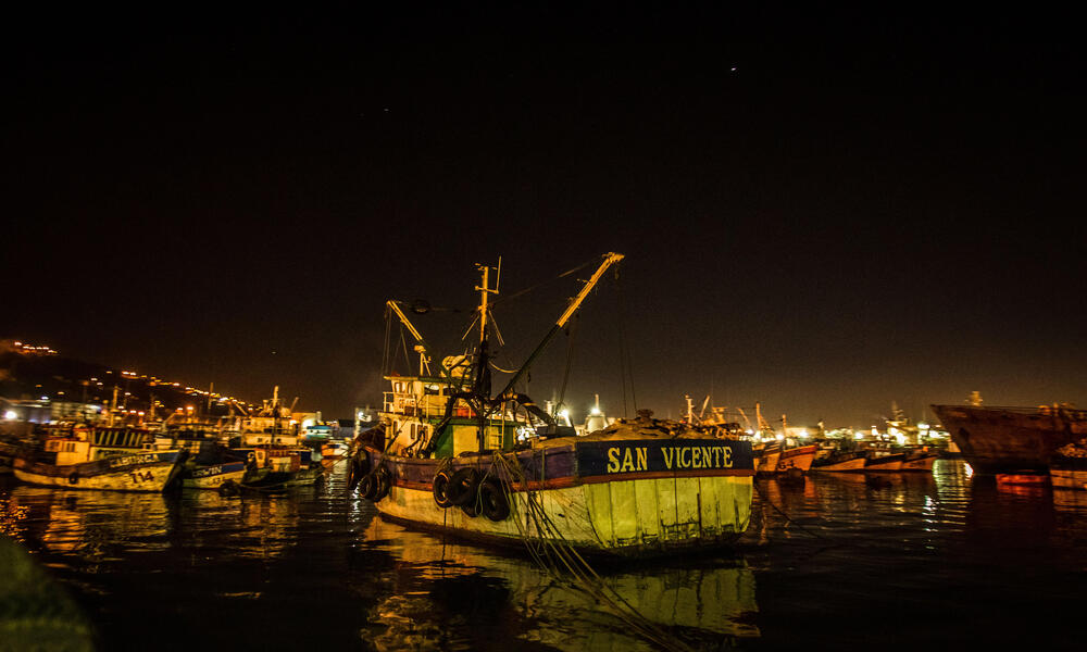 Chile fishing boats set sail at dawn