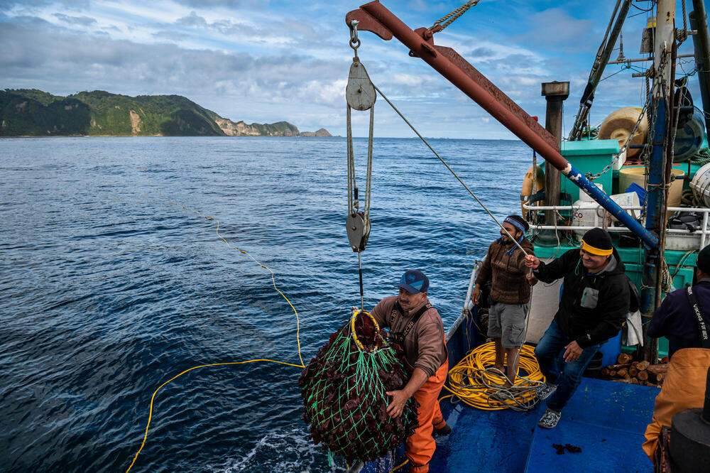 Coastal Chile | Magazine Articles | WWF