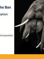 Demand Under the Ban: China Ivory Consumption Research 2021 Brochure