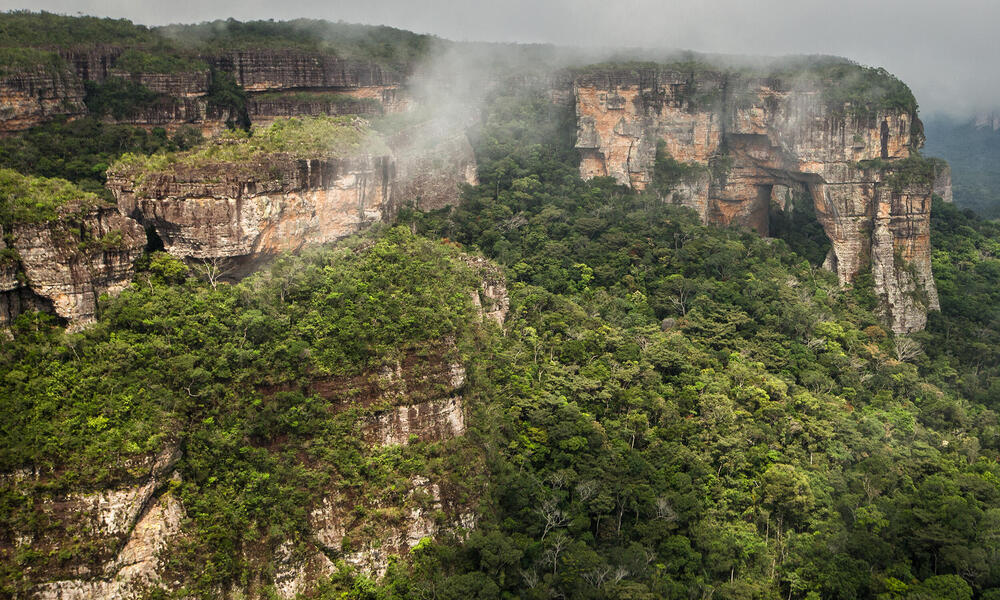 Colombia's misty mountain world's most irreplacable nature reserve, Endangered habitats