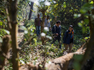 A group of citizen scientists walk through a winding path in the forest