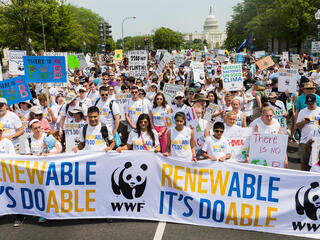 Climate march in Washington, DC