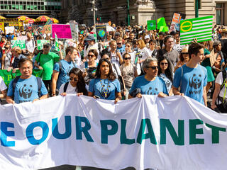 Activists march for climate action in New York City in 2019
