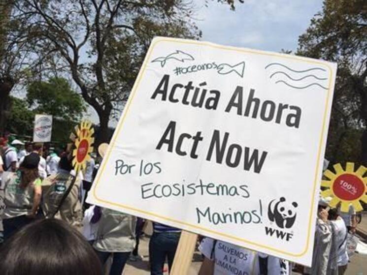 climate march in lima