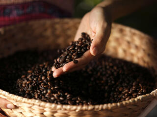 Coffee beans in a basket