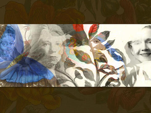 Photo illustration of plants and four women leaders in entomology