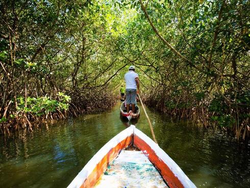 rear view of a man standing up in a small boat pulling another boat along through a mangrove forest