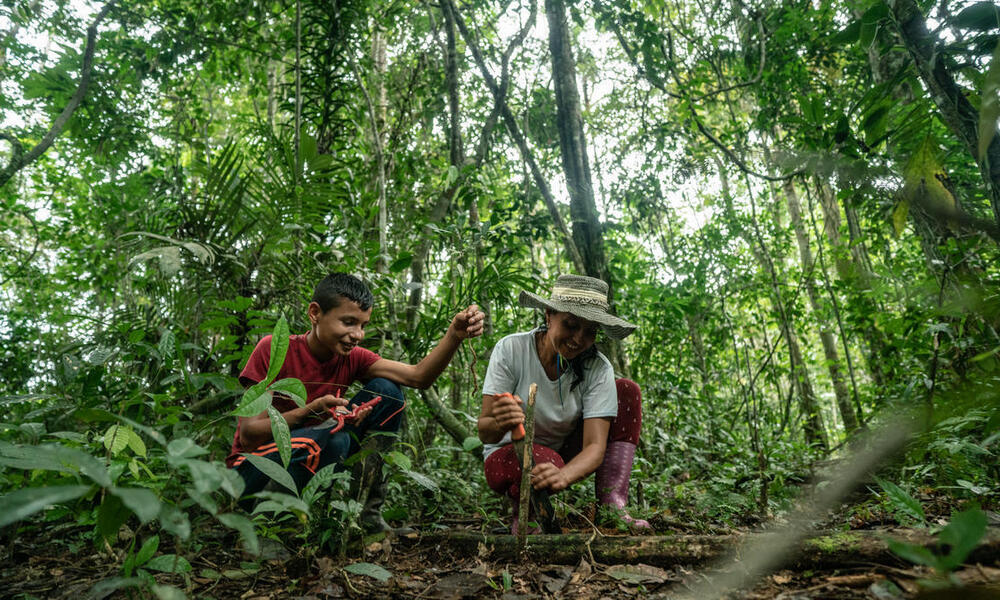 Mother and son plant tree in forested area of family farm