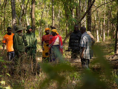 A group of community members walk through the forest
