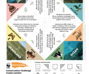 Conservation Challenge Cootie Catcher