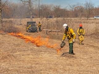 Firemen using a torch to set a controlled fire in dry grass