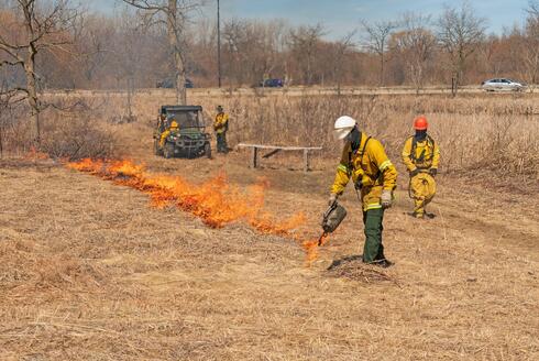 Firemen using a torch to set a controlled fire in dry grass