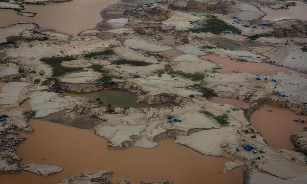 mercurio tóxico envenena la amazonía advierte nuevo informe blog
