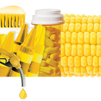 Collage of corn and corn products