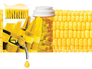Collage of corn and corn products