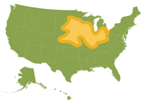 Map of corn cultivation in US