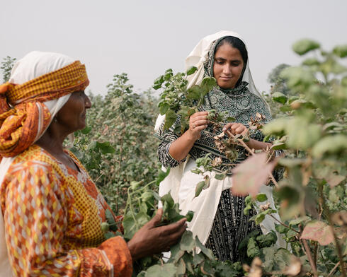 Two women in cotton field
