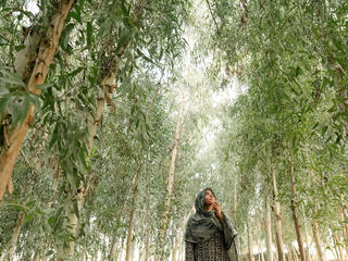 Woman standing among tall trees