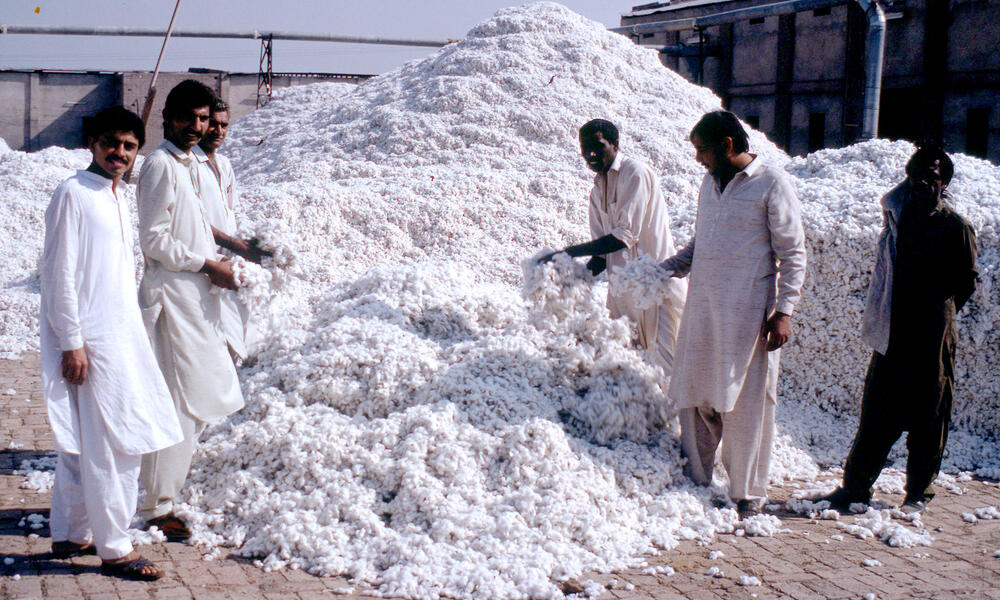 Cotton, Industries