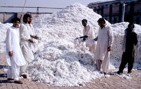 Cotton factory in Pakistan