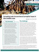 Corrupting trade: An overview of corruption issues in illicit wildlife trade Brochure