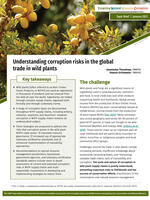 Understanding corruption risks in the global trade in wild plants Brochure