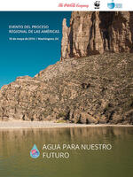 Evento Del Proceso  Regional De Las Americas Brochure