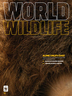 World Wildlife Magazine Fall 2023 cover
