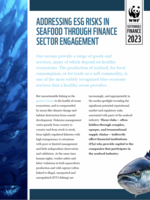2023: WWF's Seafood Finance Strategy Brochure