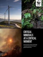 Critical Minerals at a Critical Moment Brochure