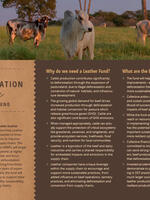 Deforestation-Free Leather Fund Fact Sheet Brochure