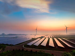 Landscape photo of a field of solar panels at sunrise. There are two wind turbines in the distance. Everything is shrouded in a light mist.