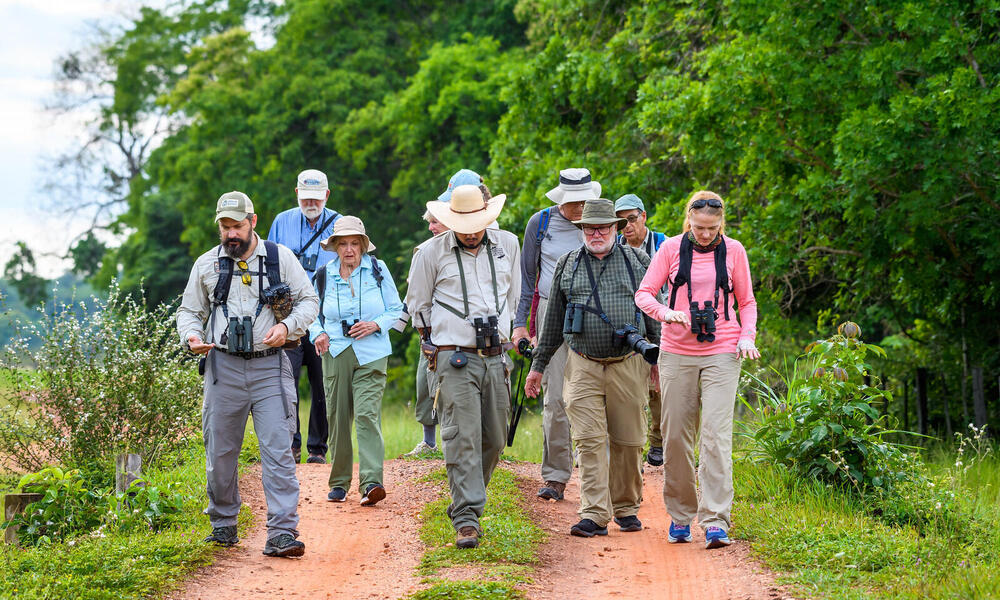 WWF Jaguars and Wildlife of Brazils Pantanal Expedition - Zapa Walk