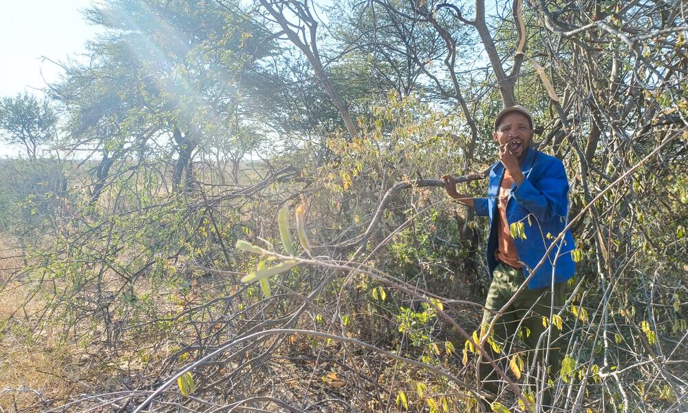 A man from Nama Pan Village stands among flowering bushes and trees
