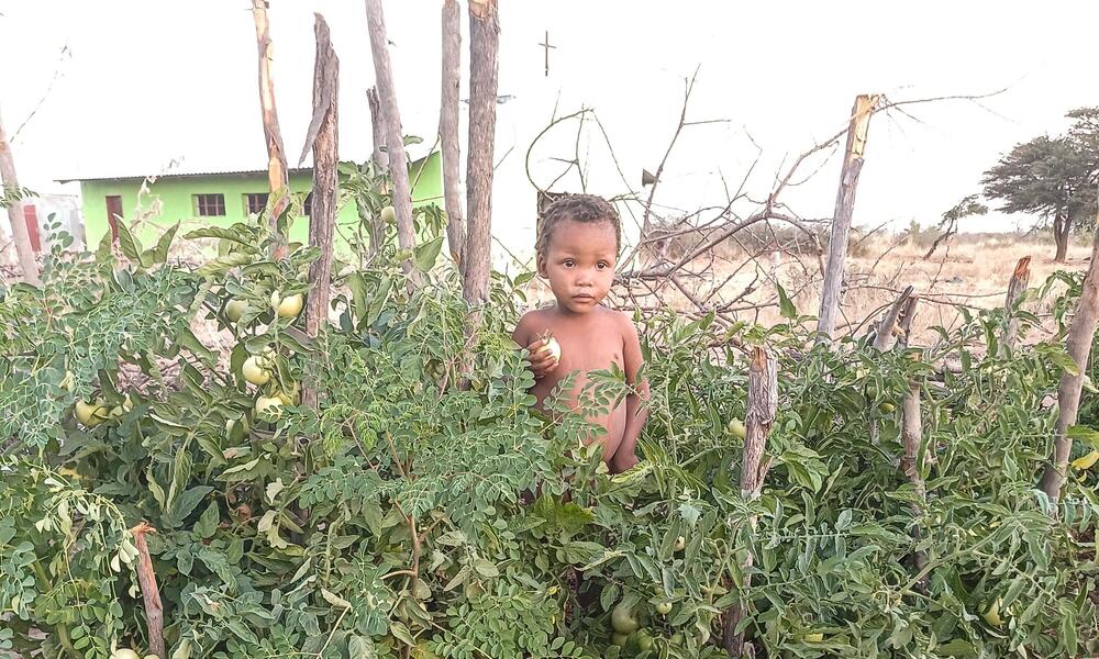 A young child stands in garden plants in Nama Pan Village