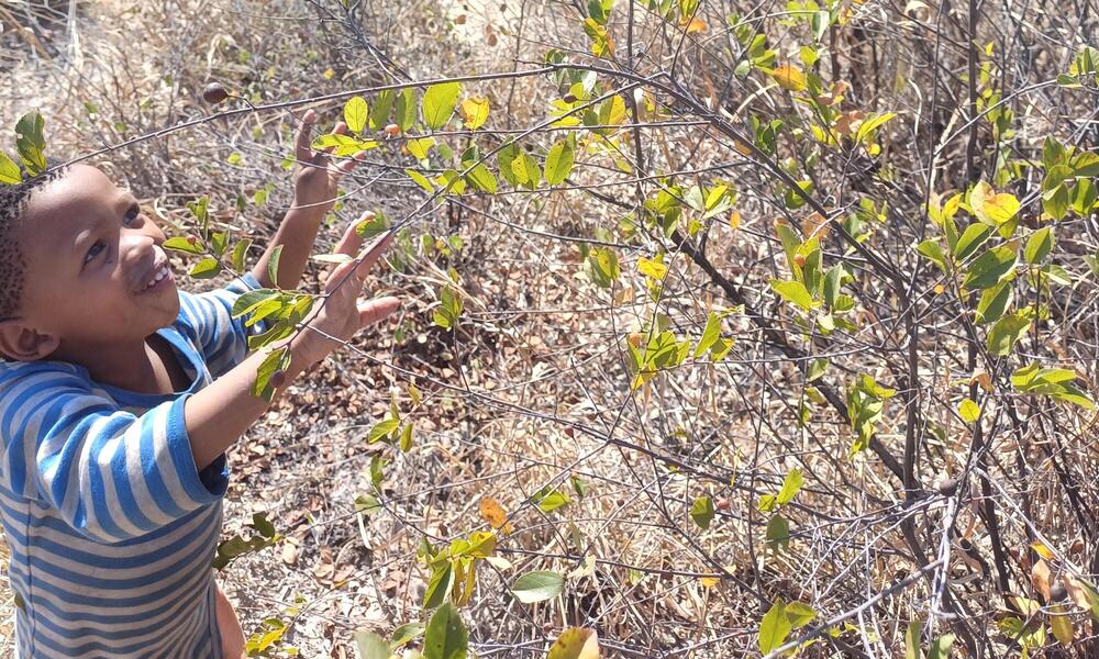 a young child reaches for flowers on a bush in Nama Pan Village