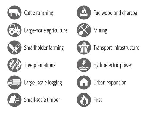 Icon style images showing various regional deforestation types