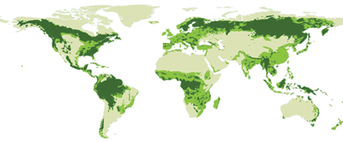 World map of defrorested areas