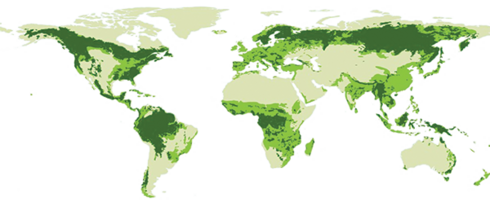 Understanding global deforestation | Magazine Articles | WWF