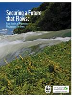 Securing a Future that Flows: Case Studies of Protection Mechanisms for Rivers Brochure