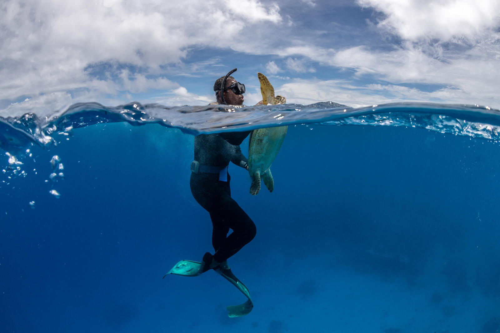 A diver in the water holding a large sea turtle