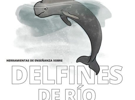 Herramientas Completas sobre los Delfines de Río