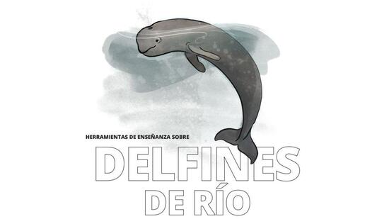 Herramientas Completas sobre los Delfines de Río