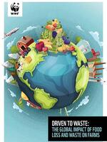 Driven to Waste Technical Report Brochure