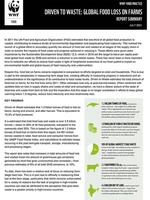Driven to Waste: Summary: The Global Impact of Food Loss and Waste on Farms Brochure