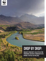 Drop by drop: Highlights from WWF's collective action programs on water stewardship in the Apparel and Textiles Sector Brochure