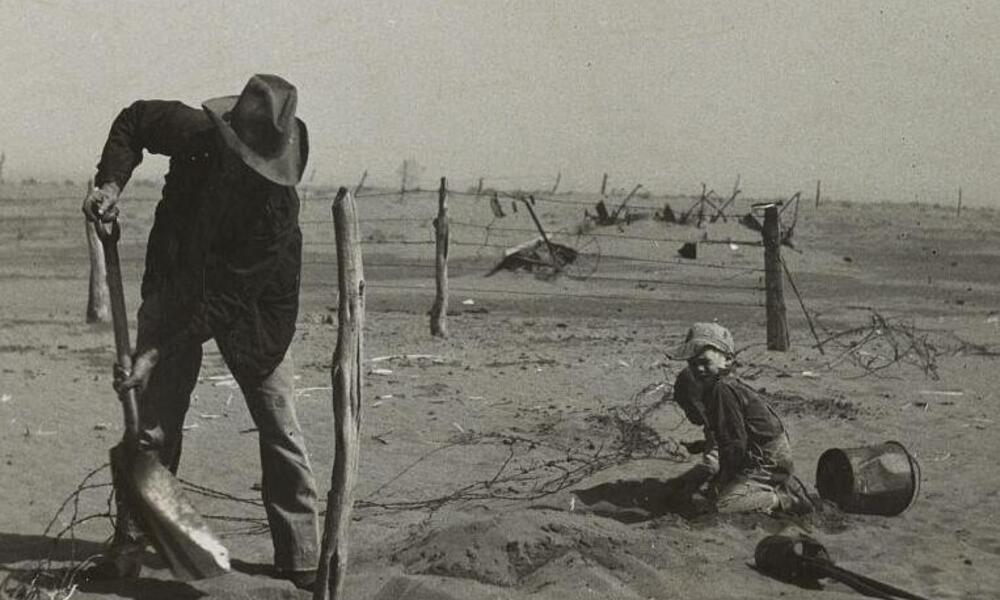 Dust bowl farmer raising fence to keep it from being buried under drifting sand