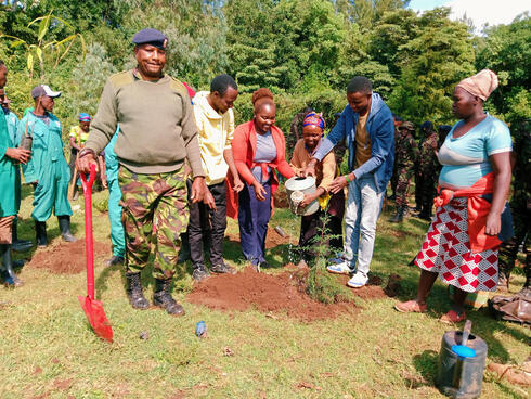 People watering a newly planted tree