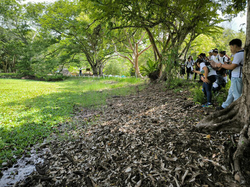 People observing nature
