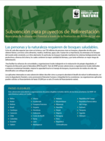 SPANISH Reforestation Guidelines 2023 Brochure